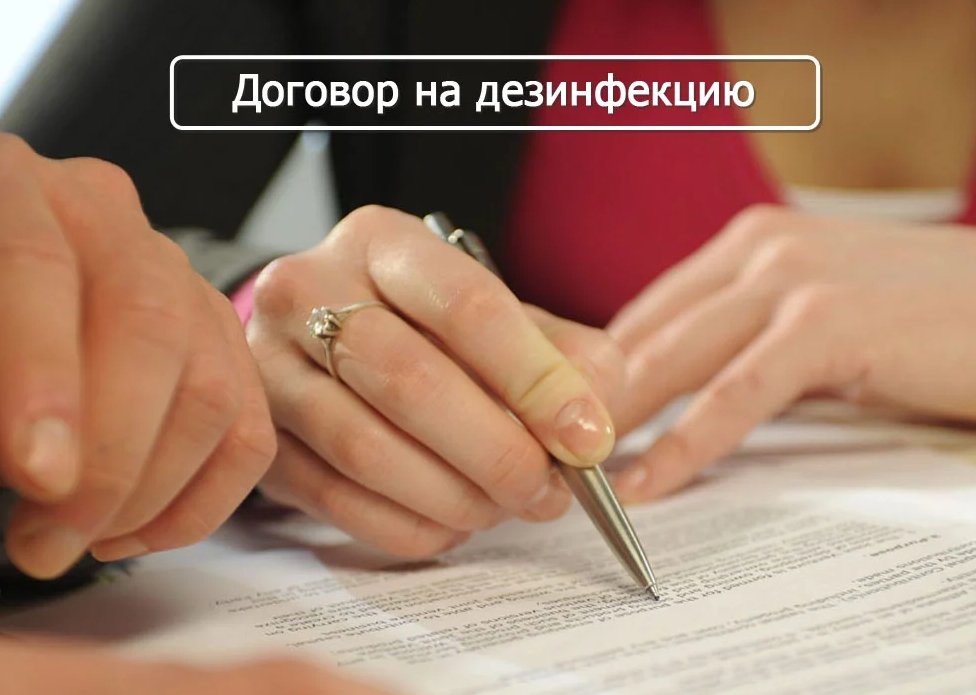 Оформление договора на дезинфекцию фото